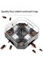 Quality Four-Sided Cockroach Trap Box - Reusable Roach Catcher Insect Net
