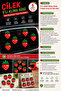 6-Piece Strawberry Figured Car Air Conditioner Ornament Set with Clips for Car Interior Decoration – Red White Green - 3
