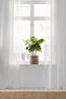 Natural Linen Look Off-White Tulle Curtain (No Pleats) - 2