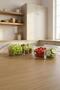 Sofia Glass Storage Container with 2 Compartments - 3