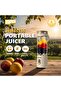 Juicer Blender with Charging - 3