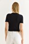 Starfish Printed Crew Neck Crop Burgundy - 2