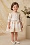 Baby Girl Dress Girls' Dress Birthday Party Wedding Dress Lace Short Sleeve Lined Dress