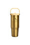 The iceflow flip straw 2.0 tumbler 0.89l 30oz messi world cup limited edition - 2