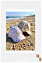 0-18 Months Baby Sun Hat - Cute Rabbit and Sun Pattern Cotton Baby Cap (Size 43-46 cm) - 5