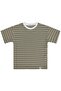 Jakar Striped T-Shirt for 10-13 Years Old - Khaki