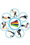 Bag Pilates Resistance Band Set with 5 Different Levels - 2