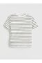 Boy's Printed T-Shirt and Shorts (S6) - 3