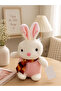 Assorted Cute Plush Toy Collection – Soft Stuffed Animal Toys for Kids & Gifts - 2