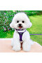 Plush Dog Collar Set – Soft Cat and Dog Leash, Walking Rope and Collar Set
