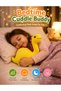 Dinosaur Plush Toy 24CM Soft Stuffed Dinosaur Plushie Cute Yellow Dino Doll PP Cotton Filled Cuddly Animal Toy for Kids Bedtime Companion Nursery Room Decor Birthday Gift Boys Girls - 2