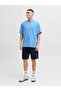 Jack Jones Stkarı Norrebro Loose Fit Men's Shorts 12292565 - 2