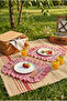 2-Piece Picnic Presentation Set Red and White Gingham Ruffled Cotton Fabric American Service Set and Supla - 2