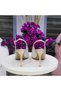 Women's Gold Crystal Stone Transparent Mesh Slingback Evening Dress Heeled Shoes - 4