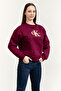 Women's Regular Fit Cotton Logo Embroidered Long Sleeve Purple Sweatshirt - 2