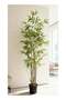 Bamboo 180cm (6 ft) Tall Artificial Tree with Pot | Floor Plant with Lifelike Design & Texture - Green - 5