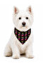 Adjustable Scarf, Chest Harness and Travel Strap Set of 3 - 3