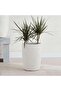 Novato Polyresin Planter 28x28x38cm - Cream