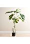 Monstera Artificial Tree H120cm - Green - 2