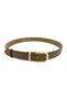3 cm Bitter Brown Women's Belt with Satin Gold Buckle, Curved Body and Elegant Design, Suitable for Trousers, Jeans, Dresses, and Jackets. - 6