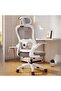 Ergonomic Mesh Office Chair with Headrest & Adjustable Lumbar Support – Gray & White - 3