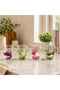 Double Glass Floral Mug – Decorative Transparent Cup - 2