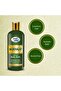 Mukhalat Body Wash 250 ML- Alcohol-Free, Enriched with Vitamin E, Soft, Creamy and Moisturizing - 3