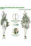 182cm Potted Double Trunk Artificial Olive Tree, Low Maintenance Faux Olive Plant with Realistic Leaves & Plump Olives, No Watering Needed for Indoor Home Office Decor - 5