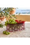 Crystal Decor Handcrafted Gondola Bowl / Decorative Bowl - 2