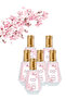 6 قطع من عطر روح حياتي 50 مل
