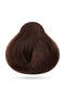 Delicate 7.33 Tobacco Blonde Hair Color 100ml – 0% Ammonia Professional Hair Dye with Aloe Vera - 2