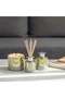 Pine Eucalyptus Scented Candle 220g Jar Candle Long Lasting Home Fragrance Relaxing Aroma - 3