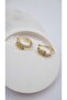 Bv Zircon Stone Snake Model Hoop Earrings - 2