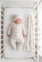 Plane Baby 3-Piece Organic Hospital Discharge Set Newborn 100% Cotton Baby Boy