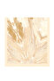Women's French Silk Shawl Model Hijab Premium Shawl - 5