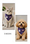 Cat and Dog Bandana Size S (Moon Rabbit)