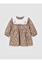 Brown Baby Collar Floral Baby Girl Gabardine Dress - 7