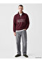 Burgundy Stand Collar Marseille Printed Men's Thick Sweatshirt - 2