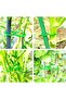 Plant Wall Clips - Support for Vegetables and Flowers - Pack of 200 - Green - Plastic - 5