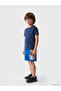 Two Mt Shop Quality Lcw Kids Blue 2 Thread Printed Standard & Regular Boys' Shorts - 2