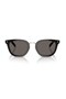 C01S 16K731/49 Unisex Sunglasses
