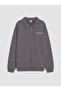 Lcw Kids Gray Polo Collar Boy's Sweatshirt