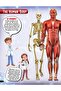 Explore Human Body Encyclopedia - 7