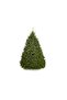 Fresh Premium Christmas Tree 230cm