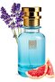 ’s Creation Oil Based Perfume for Men – Inspired by Elyziome Pour Homme – Long-Lasting Citrus, Woody & Musky Fragrance, Perfect for Fresh Spring & Summer Wear (30 ML)
