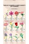Tulip Flower Building Blocks 39 Pieces - 5