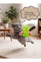 Cute Owl Plush Cat Toy - Soft Textured Biting and Catching Toy 12X12 cm - 4