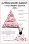 Cups of Tea Bags 25-Pack Earl Grey 3 Packs and Room Fragrance - 4