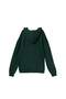 Green Boy's Hooded Zippered Printed Thick Non-Embossed Knitted Sweatshirt Tkdaw27Sw00023 - 10