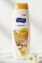 Argan Oil and Chamomile Flower Shampoo Repairing Care for Dry and Damaged Hair - 3